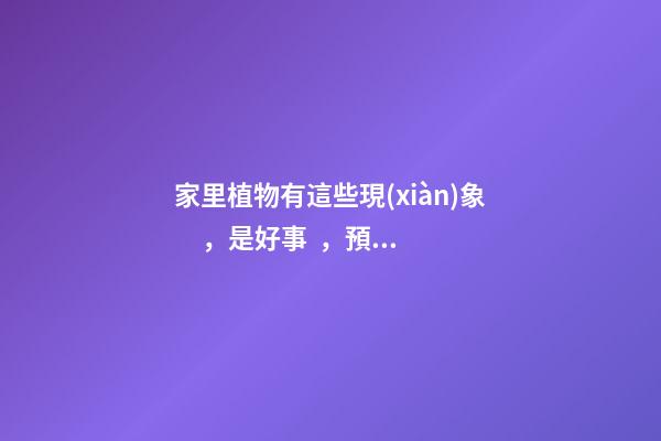 家里植物有這些現(xiàn)象，是好事，預(yù)示你家要發(fā)大財(cái)了！